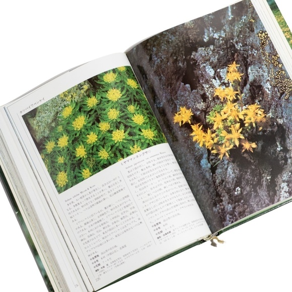 Wildflowers of Japan (Japanese Edition) with Slipcover by Yamakei Color Deluxe c - Picture 10 of 10